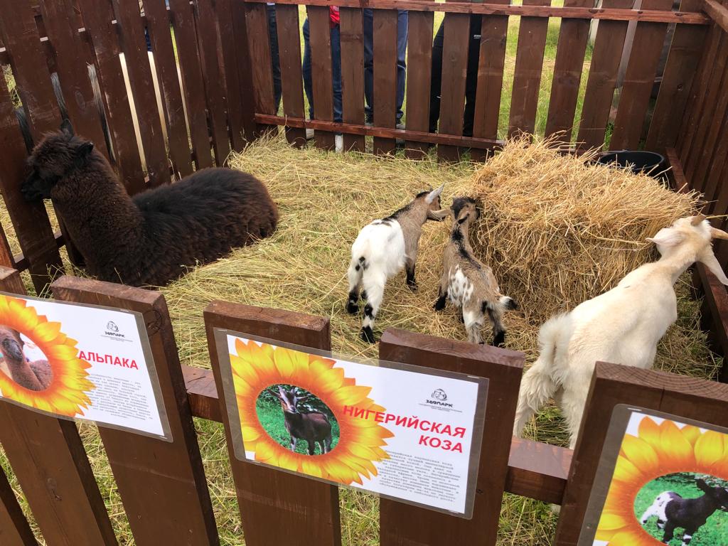 2022-06-25 21-36-00 (9).JPG